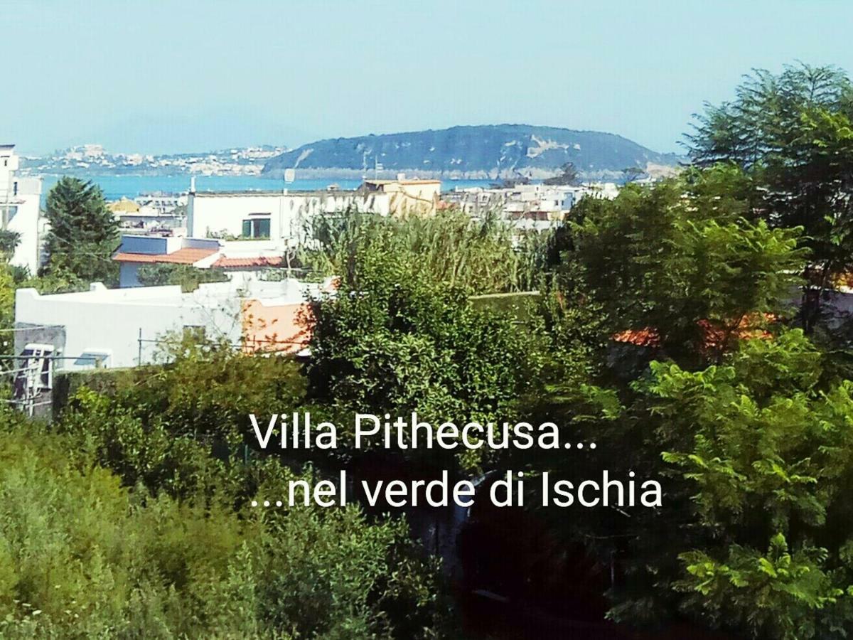 Villa Pithecusa Ischia Exterior foto